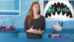 How Sharks Find Food With Electricity! | Amazing Animal Senses | SciShow Kids Instructional Video