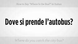 How to Say "Where Is the Bus" in Italian Instructional Video
