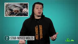 5 Animals With Superpowered Senses Instructional Video