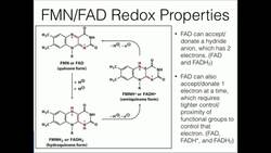 Flavins: Redox Chemistry of FMN and FAD Instructional Video