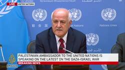 Riyad Mansour: We are calling for a humanitarian intervention to prevent a human catastrophe News Clip