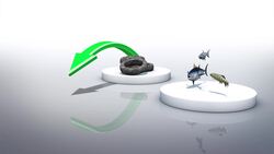 France cleaning up tire sea sanctuary Instructional Video