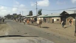 Severe drought leaves many Ethiopians in survival mode News Clip