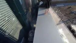 Stomach-churning stunt News Clip