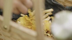 Woman picking mushrooms and drinking coffee in the forest Stock Footage