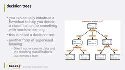 Create a computer vision system using decision tree algorithms to solve a real-world problem : Decision Trees and Random Forests Instructional Video