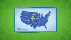 This Chicken Is a Dancing Machine! But Do We Know Why? Instructional Video