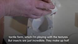 Artist creating 100 ceramic beetles to highlight insects as objects of beauty News Clip