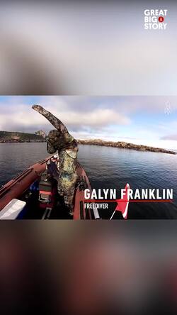 Sea lions as companions, wild encounters Instructional Video