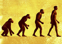 Evolution - Gradual Species Change Instructional Video