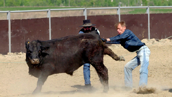 Wrangling Russia: the American cowboys heading east Instructional Video