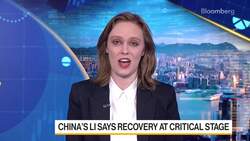 China's Li Says Recovery at Critical Stage News Clip