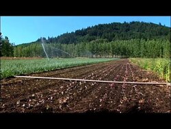 Seeds Of Life - Open Pollination -Frank Morton Instructional Video