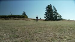 Illegal digging at historic sites is on the rise. Parks Canada says our history’s at risk News Clip