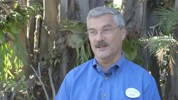 What's Got Zookeepers Squawking About These Newly-Hatched Flamingo Chicks Instructional Video