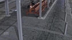 Vancouver police call for tips after sleeping homeless woman set on fire News Clip