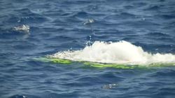 Nekton mission resumes after submersible emergency Instructional Video