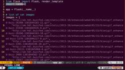 Hands-On Continuous Integration and Automation with Jenkins - Docker Commands Instructional Video