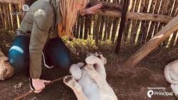 Bringing Radical Transparency to Businesses Using Blockchain News Clip