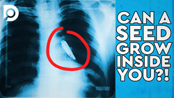 What Happens When Something Goes Down The Wrong Hole? Instructional Video