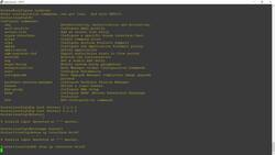 Cisco CCNA 200-301: The Complete Guide to Getting Certified - Navigating the Cisco IOS Operating System Part 2 Instructional Video