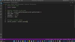 The Art of Doing - Python Network Applications with Sockets - Basic Two-Way Chat Part 1 - Server/Client Setup Instructional Video