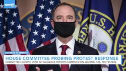 House Committee Probing Homeland Security Activities During Protests News Clip