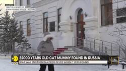 32000 Years Old Cat Mummy Found In Russia News Clip