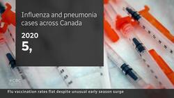 Health officials urge flu vaccines before holiday rush News Clip