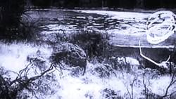 Wolf Symbolism and Significance Instructional Video