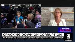 Zephyr Teachout: New York Politics Is on the Verge Of Big Change News Clip