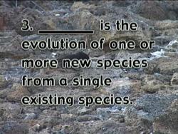 Evidence of Change Quiz Instructional Video