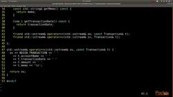 C++ Standard Template Library in Practice - Project - Overview Instructional Video