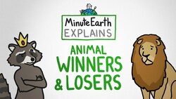 MinuteEarth Explains: Animal Winners and Losers Instructional Video