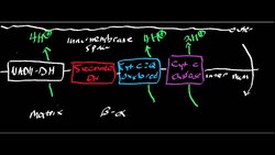 Proton Pumping by ETC Instructional Video