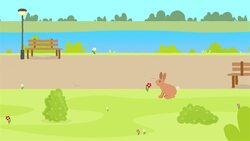 I WONDER - Is Rewilding Just About Plants? Instructional Video