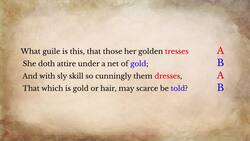 Amoretti Instructional Video