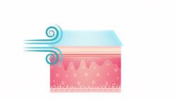 Feels Like Temperature: What It Really Means and How It's Calculated Instructional Video