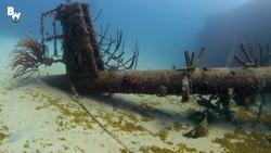 What's Inside the FBI's Most Wanted Shipwreck?! Instructional Video