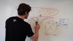 Understanding Diabetes: Types, Causes, and Prevention Instructional Video