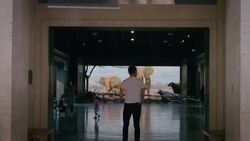 The Legacy Of P-22: Hollywood's Famous Mountain Lion News Clip