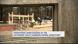 Community members raise barn for Catherine Violet Hubbard Animal Sanctuary News Clip