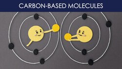 What are carbon-based molecules Instructional Video