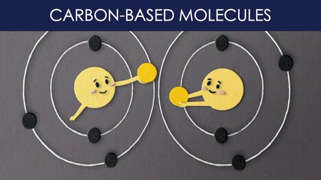 What are carbon-based molecules