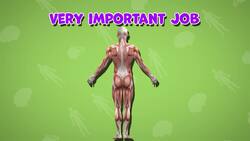 I WONDER - Do Muscles Help You Stand? Instructional Video