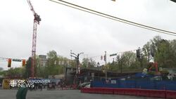 Metro Vancouver tree canopy in decline: report News Clip