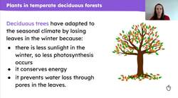 Animals and plants in the temperate deciduous forests Instructional Video