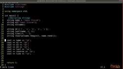 C++ Standard Template Library in Practice - Utilities - Common Utilities Instructional Video