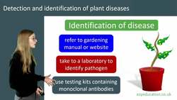Detection and Identification of Plant Diseases Instructional Video