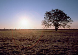 Temperate zones Instructional Video